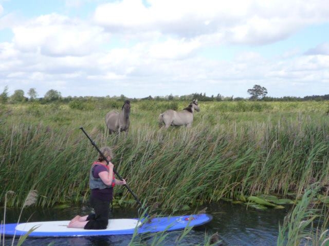  Donde el SUP puede llevarte